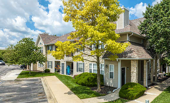 A tree with yellow leaves is in front of a house.