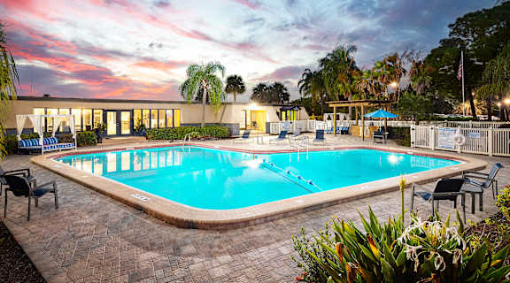 A large outdoor swimming pool surrounded by lounge chairs and palm trees at Waterview at Rocky Point, Florida, 33634