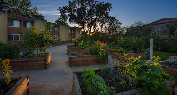 A garden area at Sierra Sunrise Senior Apartments