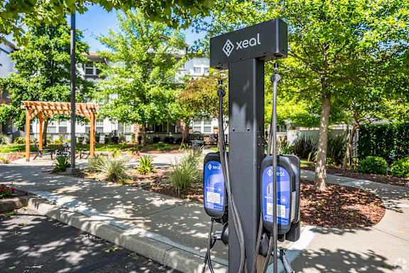 A sign for Xeol is on a pole in front of a tree.