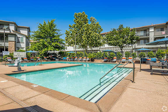 A large swimming pool surrounded by trees and apartment buildings.