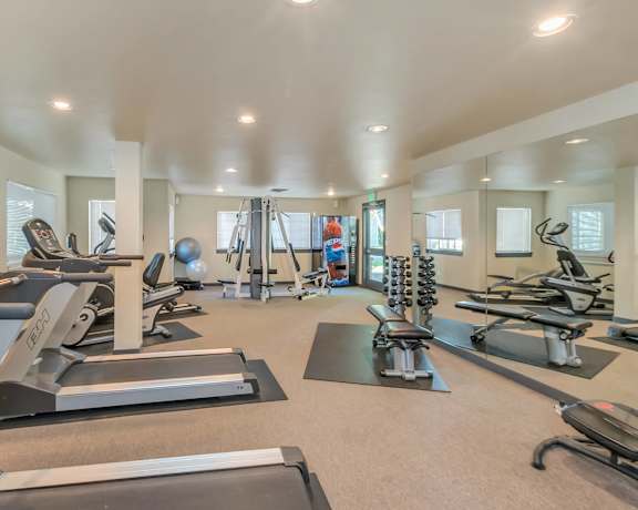 A spacious gym with treadmills, exercise bikes, and other equipment.