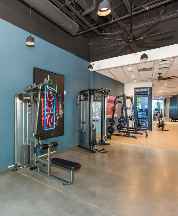 a gym with weights and other exercise equipment at Flats at West Broad Village in Glen Allen, Virginia