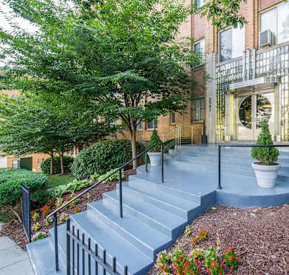 A courtyard with a staircase and a tree.