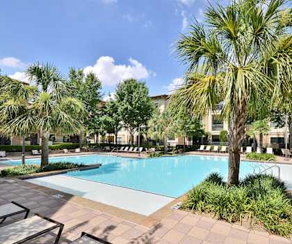 A pool surrounded by palm trees and plants.