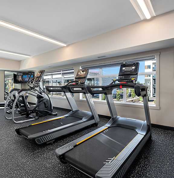 A gym with treadmills and exercise bikes.