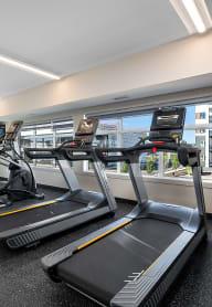 a gym with weights machines and a view of a runway