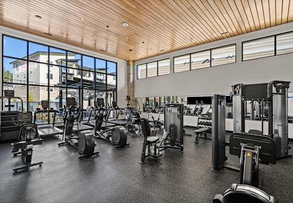A gym with a variety of equipment including treadmills, weights, and exercise machines.