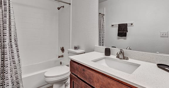 a bathroom with a sink and a toilet and a shower