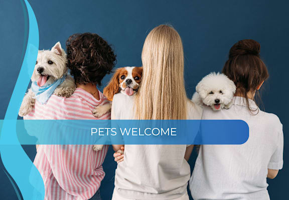 a group of people with dogs