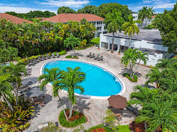 A swimming pool surrounded by palm trees and a building in the background.