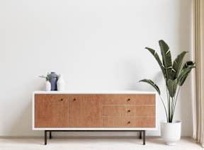 A white cabinet with a plant beside it.