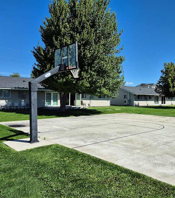 A basketball court is surrounded by houses and trees.