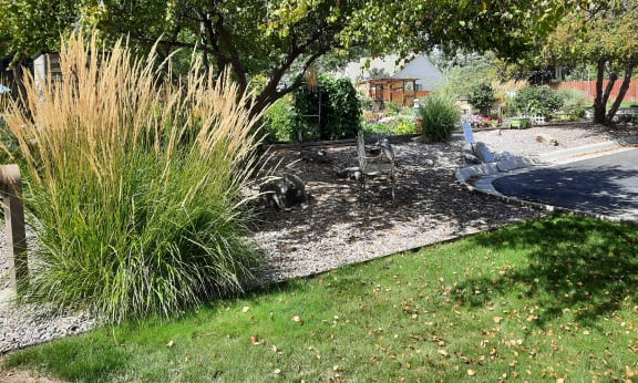 a view of the garden from the side of the house