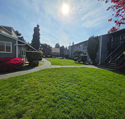 A sunny day in a residential area with houses and green lawns.