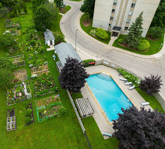 a backyard with a swimming pool and a garden