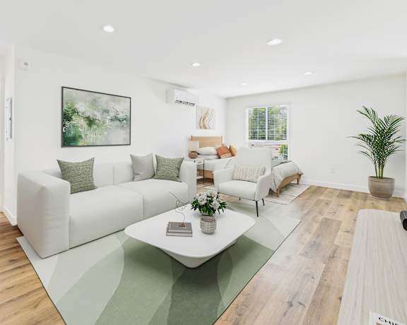 A living room with a white couch and a green rug.