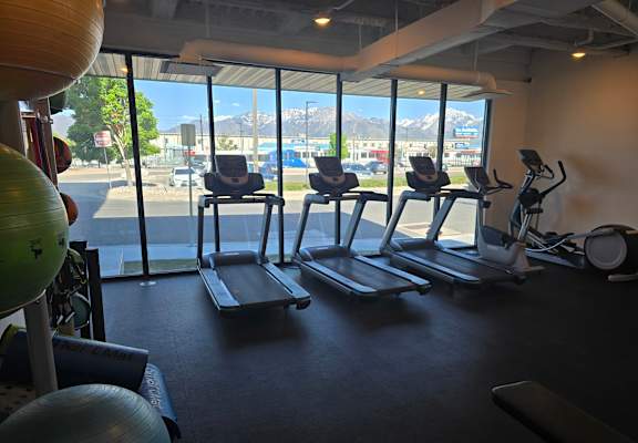 A gym with treadmills, elliptical machines, and exercise balls.