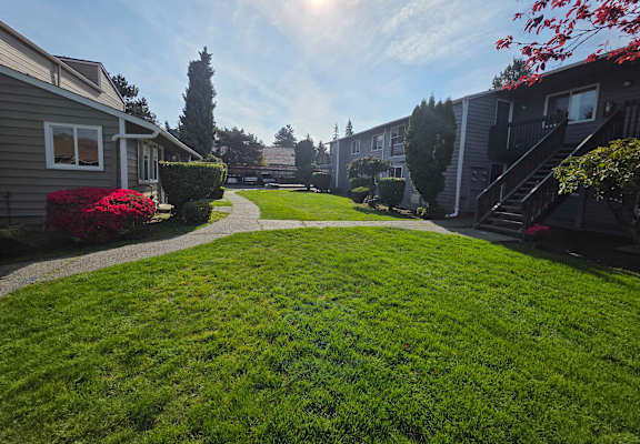 A sunny day at a grassy courtyard with apartment buildings in the background.