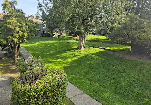 A green lawn with a tree and a building in the background.