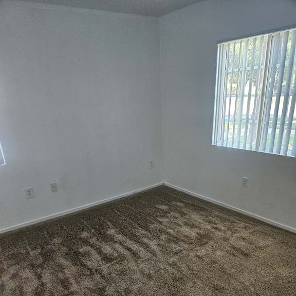 A carpet with a distinctive pattern is on the right side of the image.