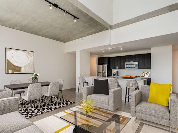 A modern living room with grey couches and a black and white rug at One 333, Chicago, 60605