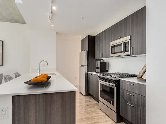 A modern kitchen with a white countertop and dark wood cabinets at One 333, Chicago, Illinois, 60605