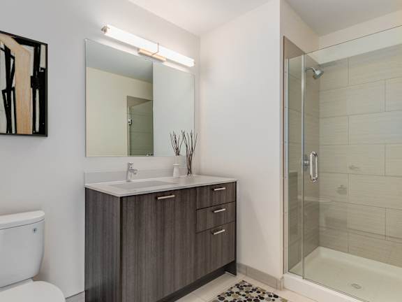 A bathroom with a white toilet, a sink with a mirror above it, and a glass shower stall at One 333, Chicago, IL, 60605