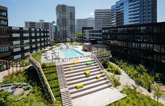 A rooftop garden with a pool surrounded by buildings.