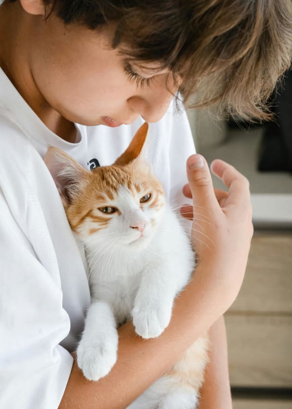 a young girl holding a cat in her arms
