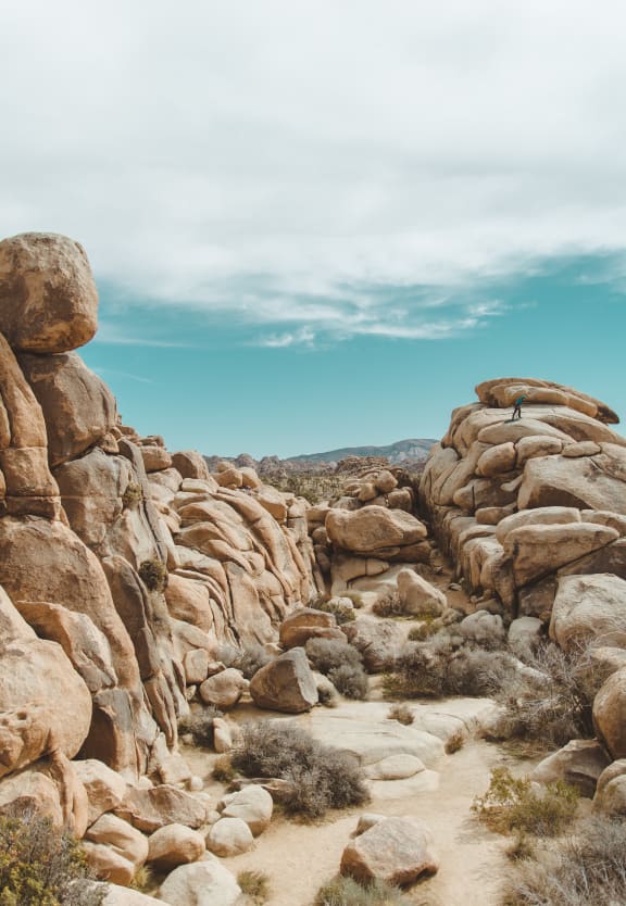rocky terrain at Country Brook Apartments in Chandler, Arizona