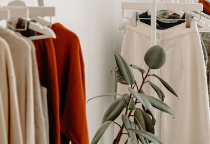 a plant in a room with clothes hanging on a rackat The Retreat at Brandywine Crossing, Maryland, 20613