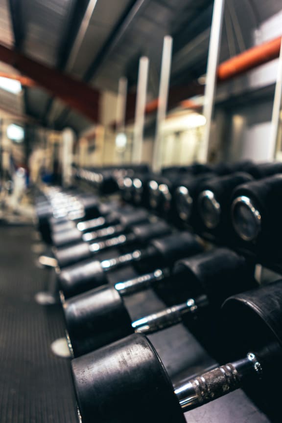 a row of dumbbells in a gym