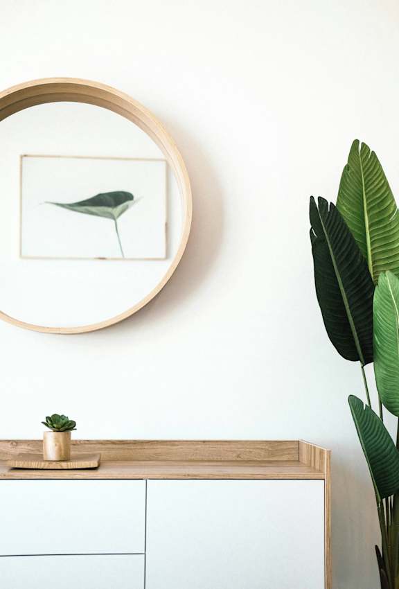 A framed picture of a green leafy plant sits on a wooden shelf.