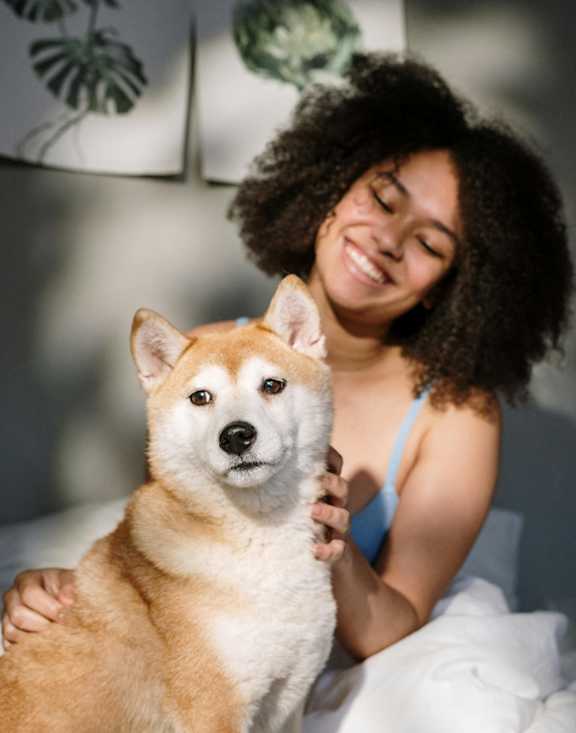 A woman is holding a Shiba Inu dog in her arms.