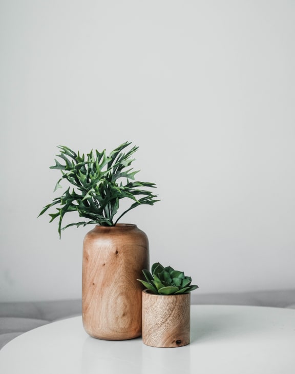 a plant in a wooden vase on a table with a white background