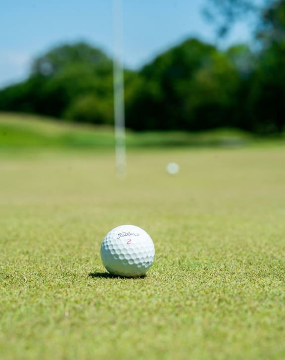 a golf ball sitting on the grass on a golf course
