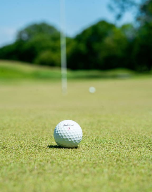 a golf ball sitting on the grass on a golf course