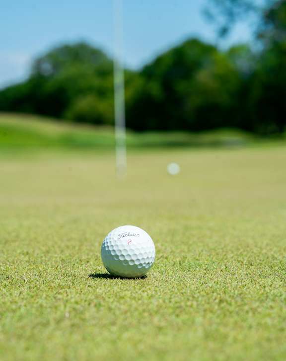 A golf ball is on the grass.