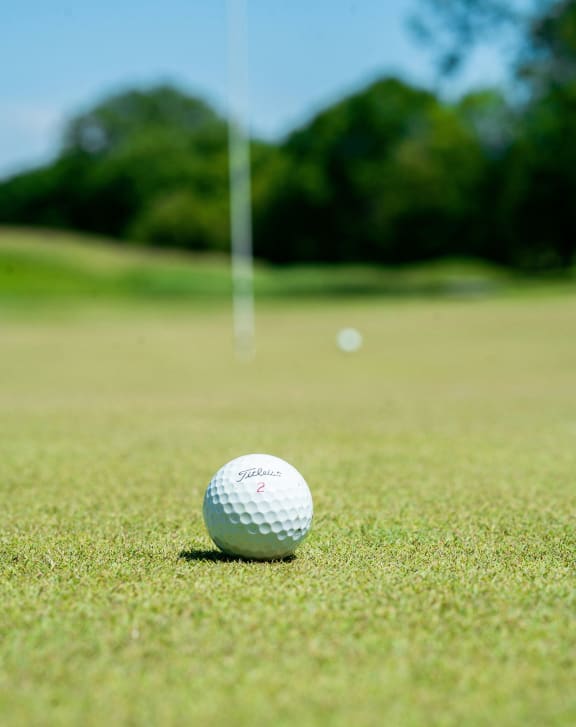 a golf ball sitting on the grass on a golf course