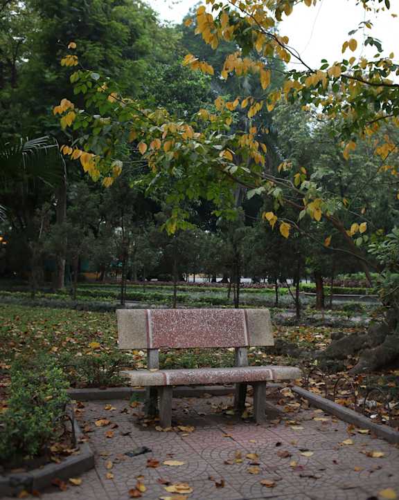 A bench with a red cushion is surrounded by fallen leaves in a park.