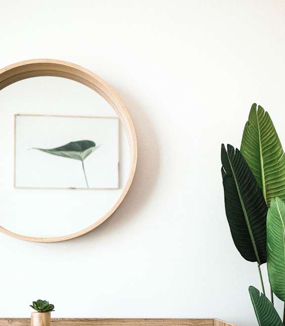 A framed picture of a green leafy plant sits on a wooden shelf.
