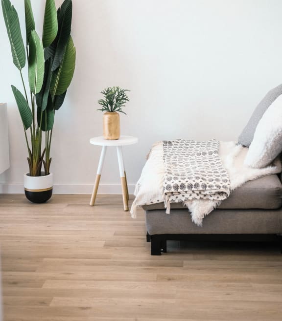 a living room with a couch and a potted plant