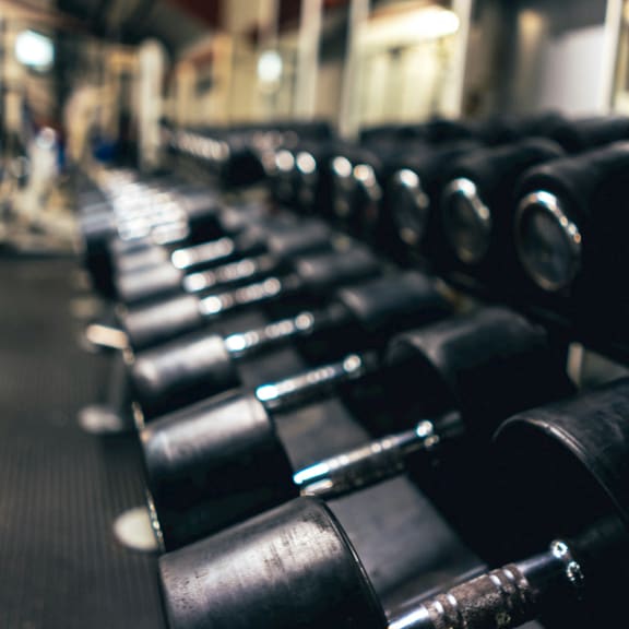 a row of dumbbells in a gym