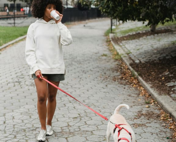 a woman walking her dog on a leash while drinking a cup of coffee