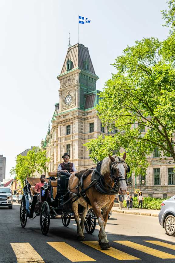 a horse drawn carriage on a city street with a building with a clock tower