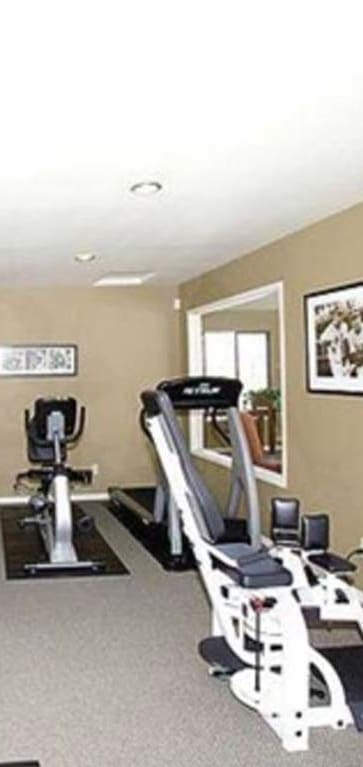 Modern ellipticals in fitness room, Cypress Landing