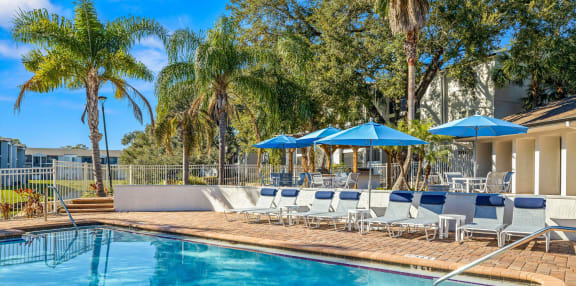 the swimming pool at the resort at longboat key club