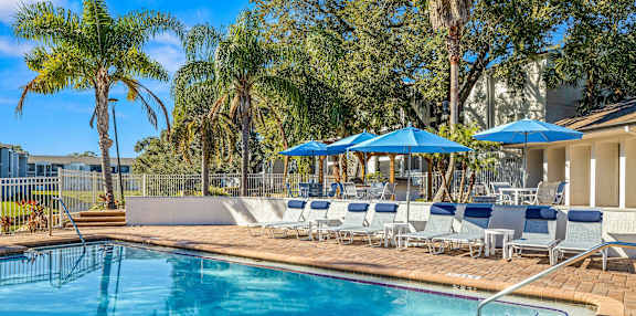 A pool surrounded by palm trees and blue umbrellas.