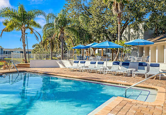 the swimming pool at the resort at longboat key club